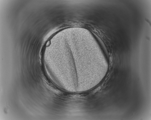 X0000102400246200808221854