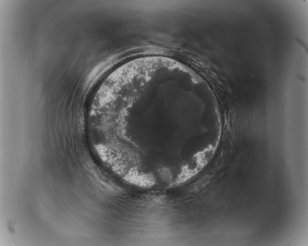 X0000102400247200808221854