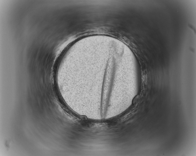 X0000102400248200808221854