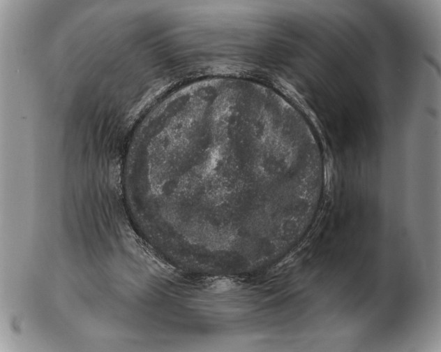 X0000102400249200808221854