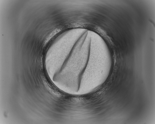 X0000102400250200808221854