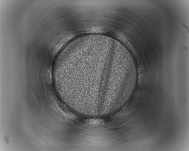 X0000102400251200808221854