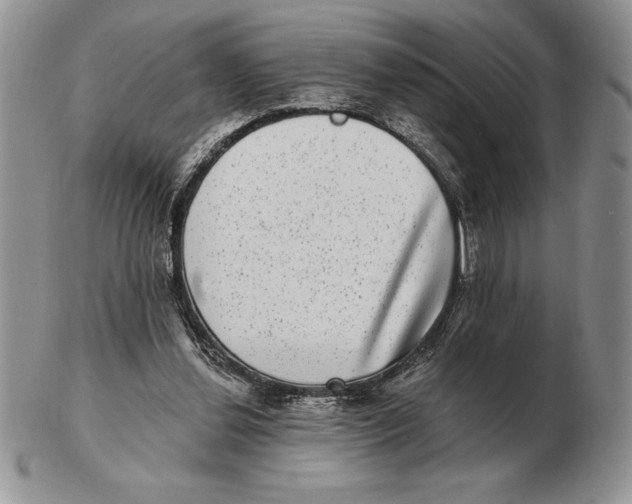 X0000102400252200808221854