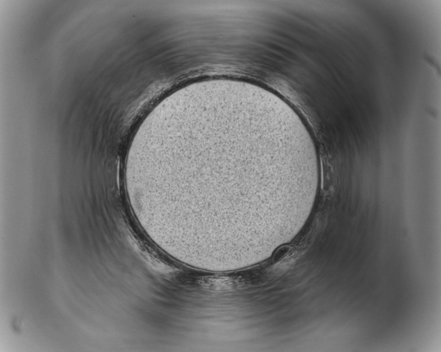 X0000102400253200808221854