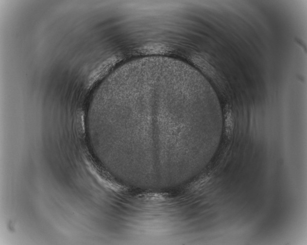 X0000102400254200808221854