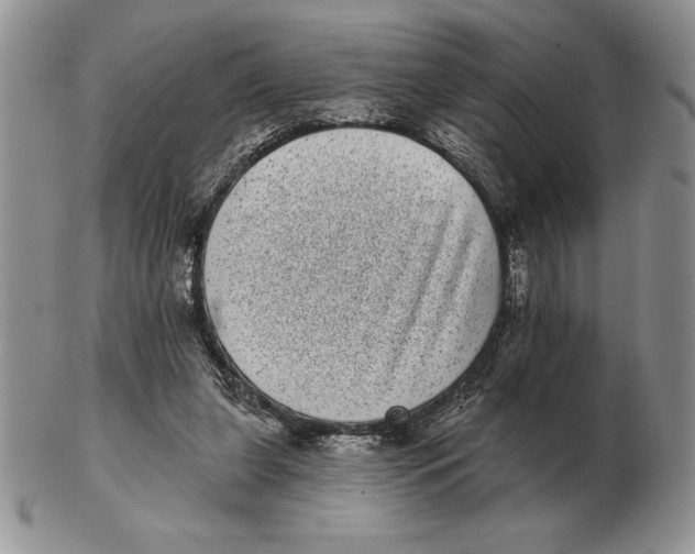 X0000102400255200808221854