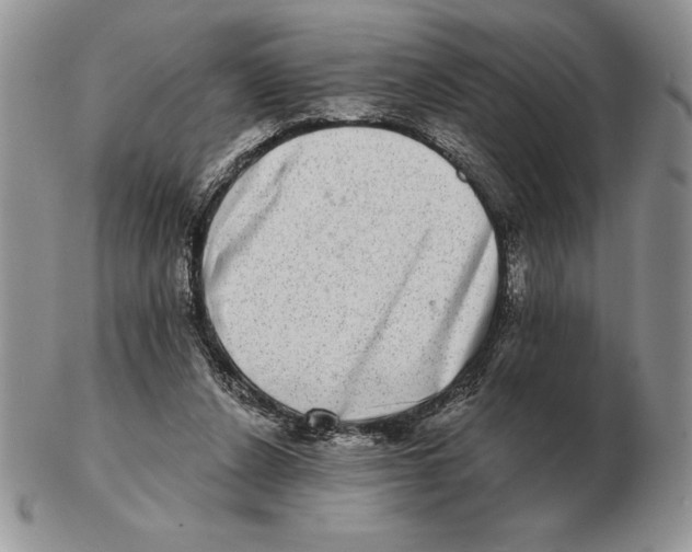 X0000102400256200808221854
