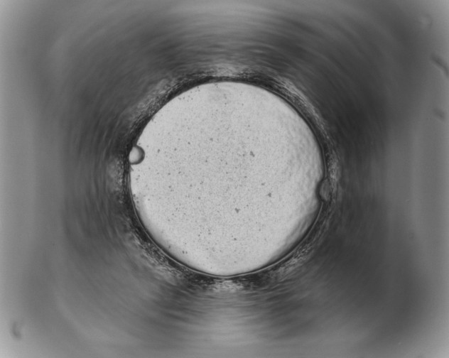 X0000102400257200808221854