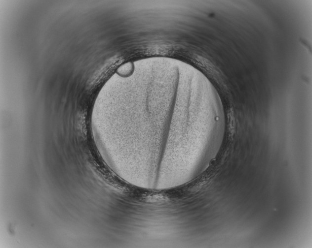 X0000102400258200808221854