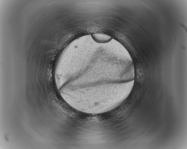 X0000102400259200808221854