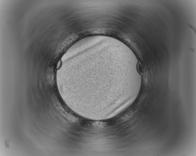 X0000102400261200808221854