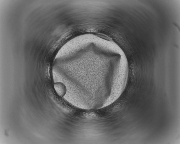 X0000102400262200808221854