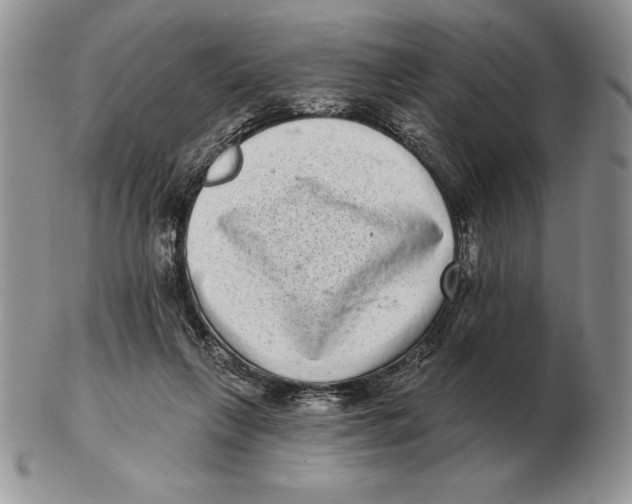 X0000102400263200808221854