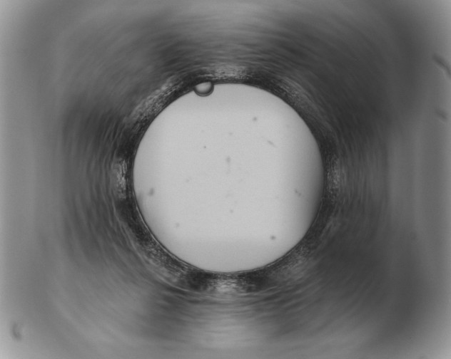 X0000102400264200808221854