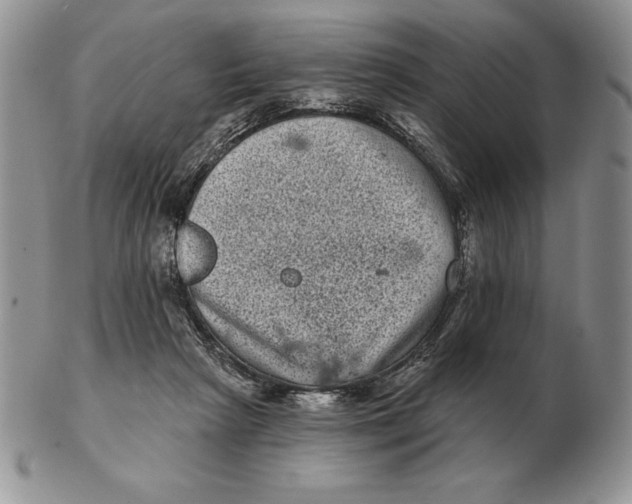 X0000102400265200808221854