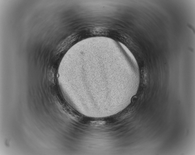 X0000102400266200808221854