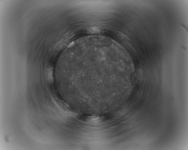 X0000102400267200808221854