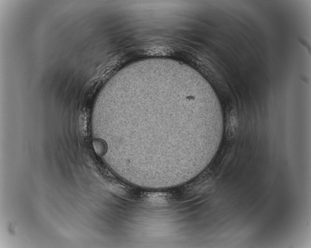 X0000102400268200808221854