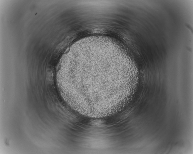 X0000102400269200808221854