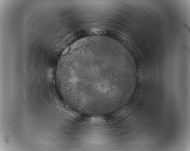 X0000102400270200808221854