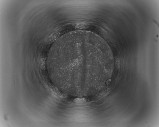 X0000102400271200808221854