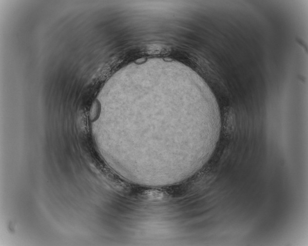 X0000102400272200808221854