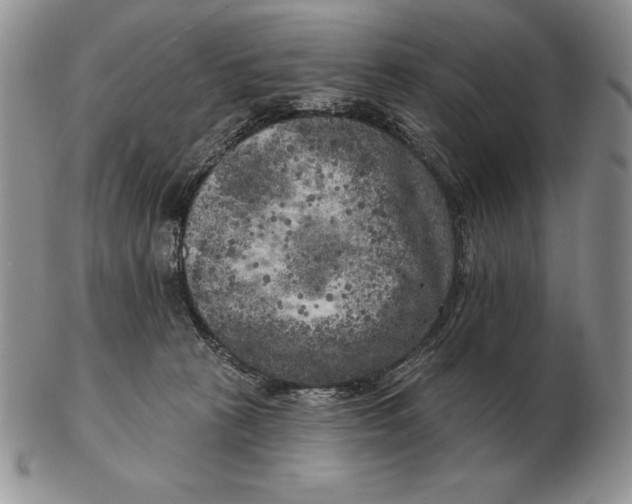 X0000102400273200808221855