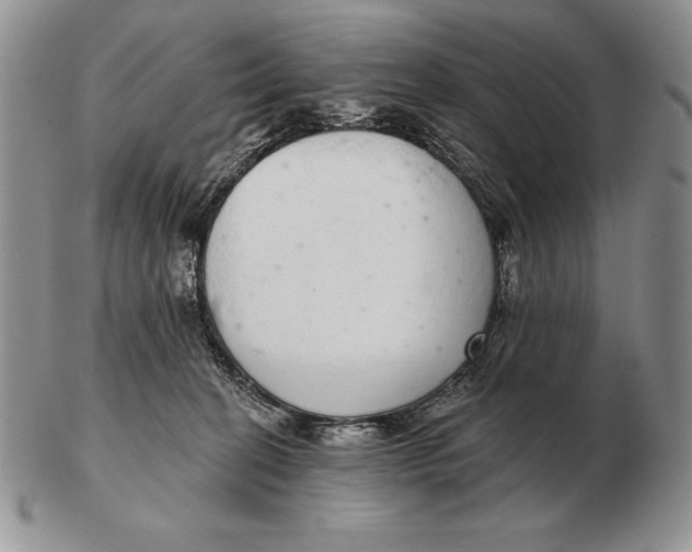 X0000102400274200808221855