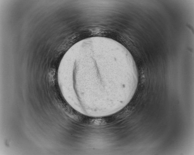 X0000102400275200808221855