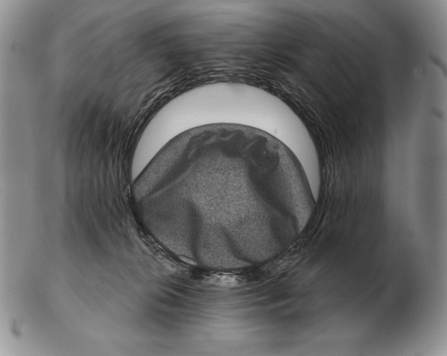 X0000102400276200808221855