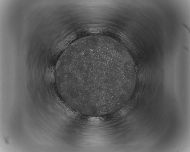 X0000102400277200808221855