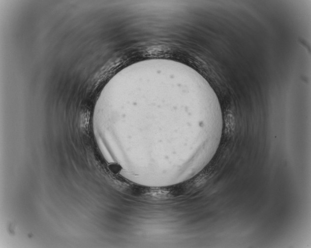 X0000102400278200808221855