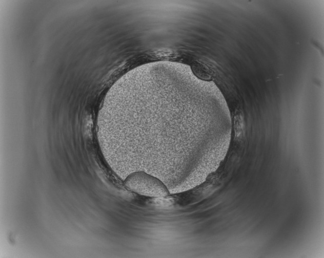 X0000102400279200808221855