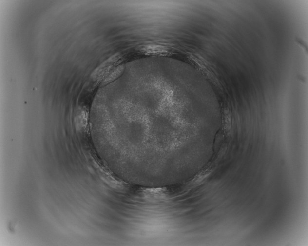 X0000102400281200808221855