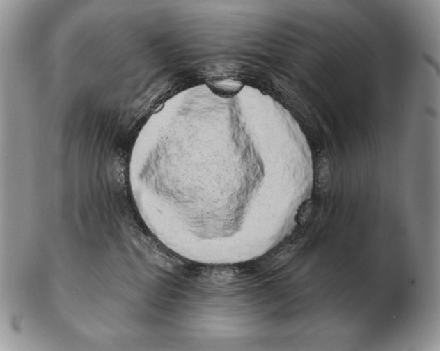 X0000102400282200808221855