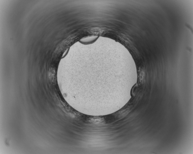 X0000102400283200808221855