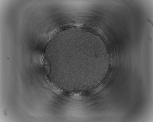 X0000102400285200808221855