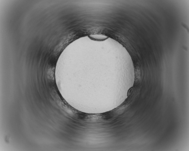 X0000102400286200808221855