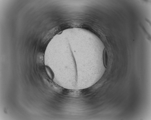 X0000102400288200808221855