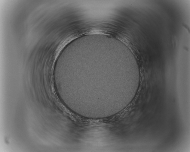 X0000102400289200808221854