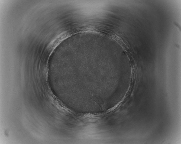 X0000102400290200808221854