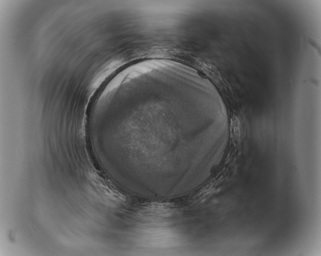 X0000102400292200808221854