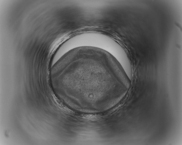 X0000102400293200808221854