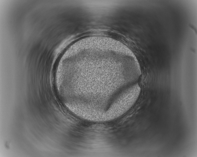 X0000102400294200808221854