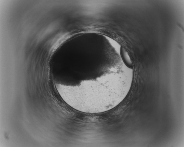 X0000102400295200808221854
