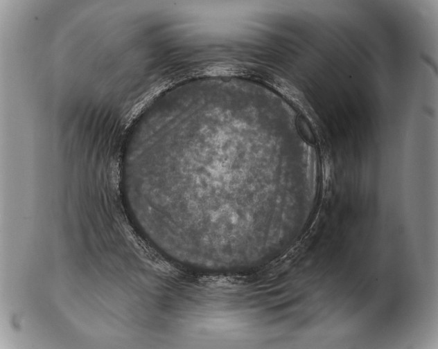 X0000102400297200808221854