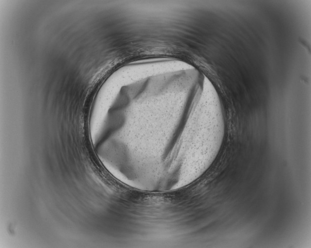 X0000102400298200808221854