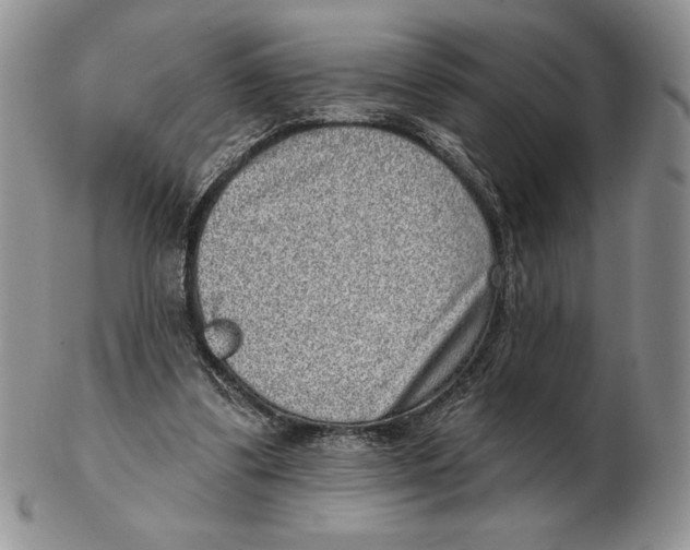X0000102400299200808221854