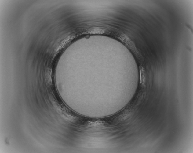 X0000102400300200808221854