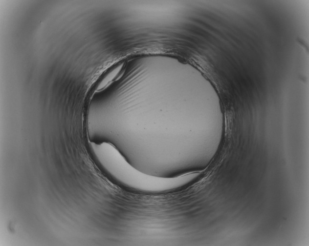 X0000102400301200808221854
